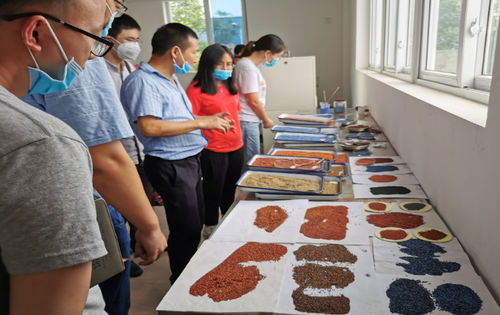 Latest company news about Base industriale-universitaria-di ricerca del Dipartimento dei materiali dell'Università di tecnologia di Chengdu, cooperazione completa con la Cina Guangdong Building Materials